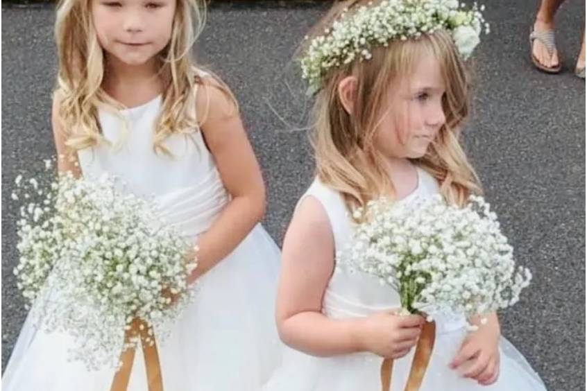 Gypsophila Bouquet