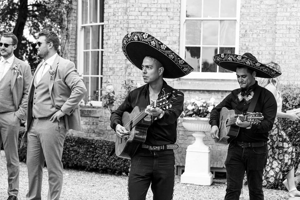 Mariachi band , venue essex