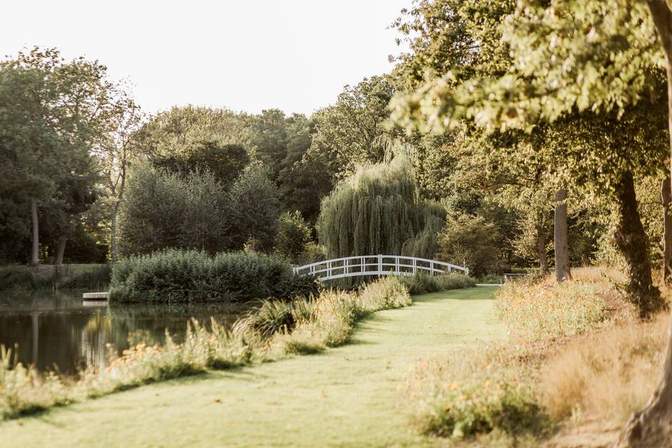 Lakeside Walk