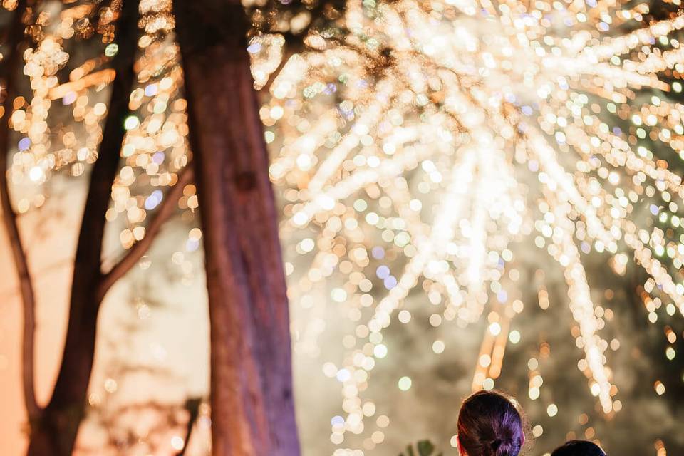 Couple watching fireworks