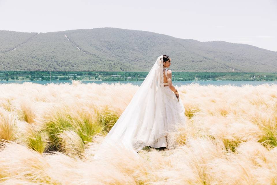 Bride posing in field