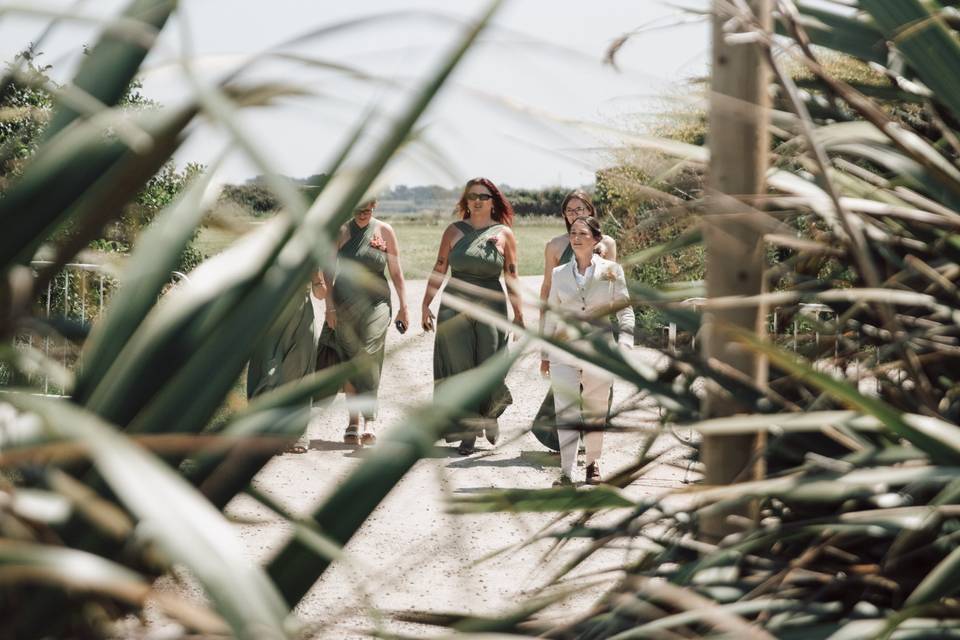 Through the greenery