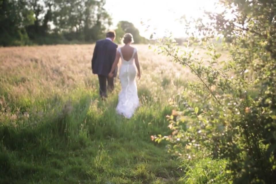 Sun dappled meadow