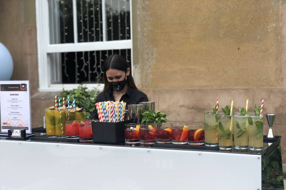 Cocktail bartender for wedding