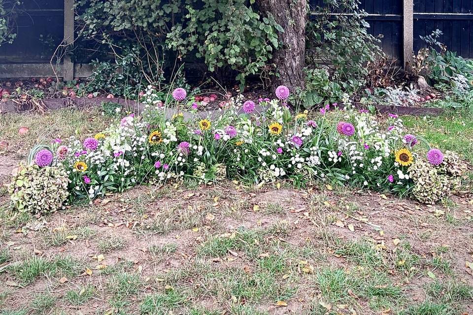 Ceremony meadow