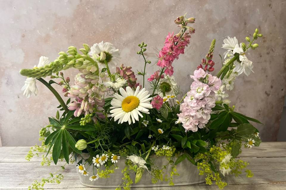 Table Meadow