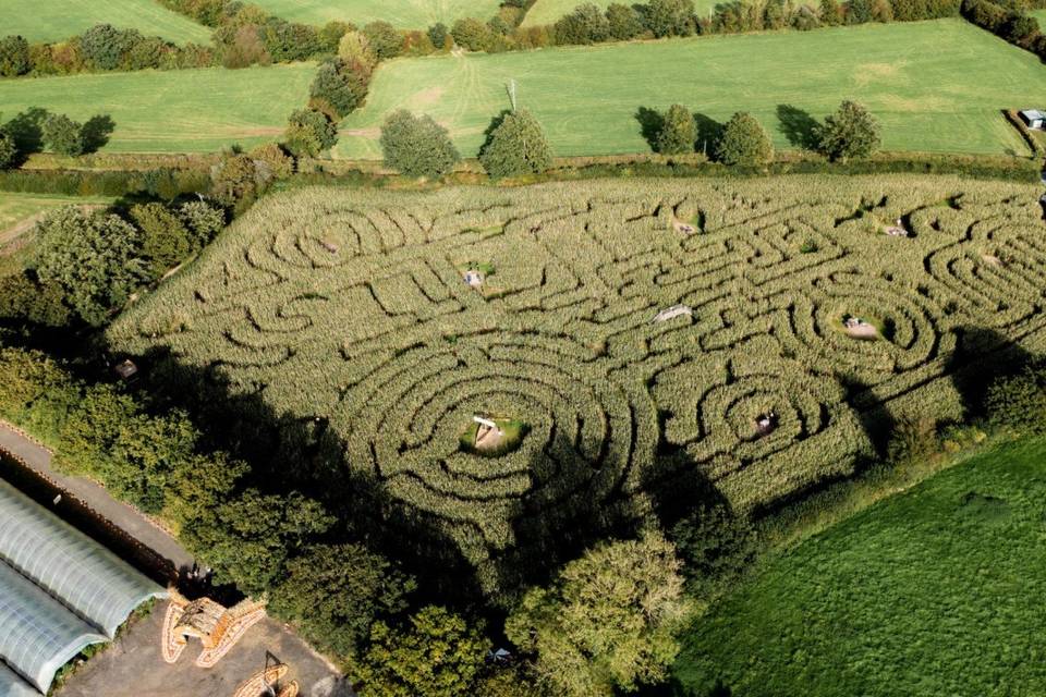 Maze in the field