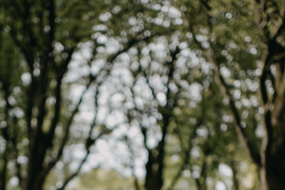 Scottish woodland elopement