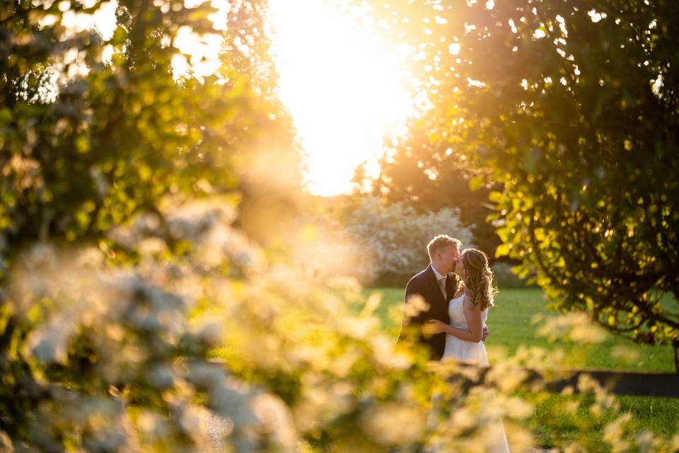 Golden Hour in the meadows