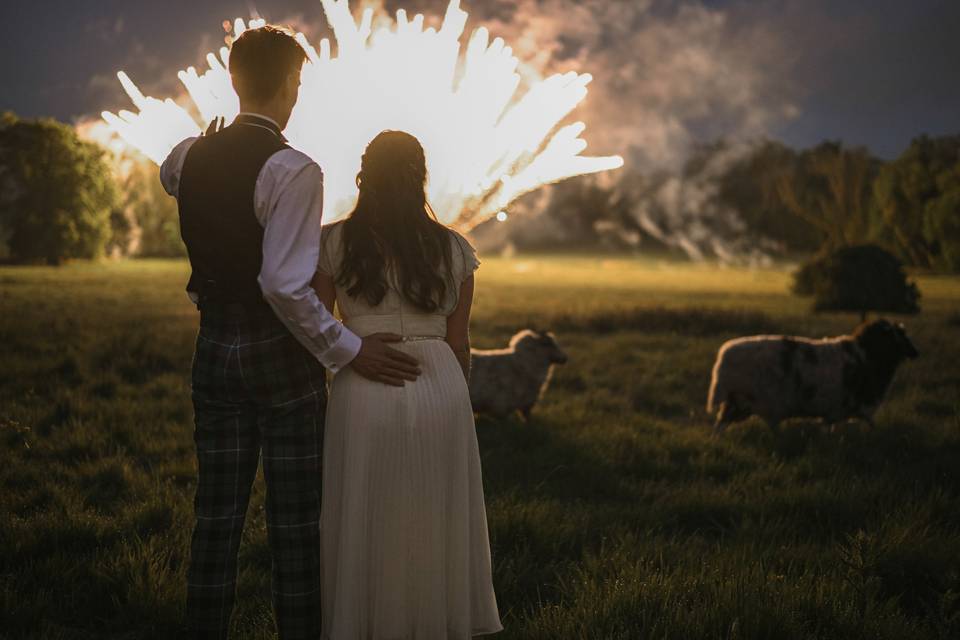 Fireworks and sheep