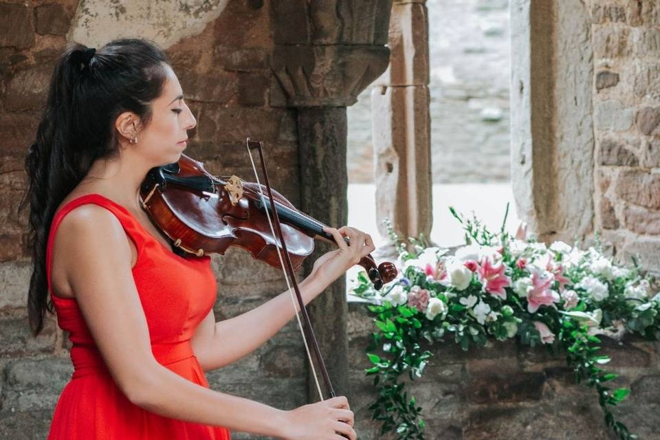 Proposal violinist