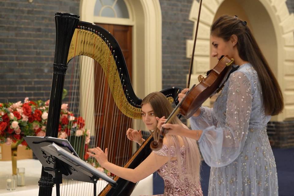 Violin and harp