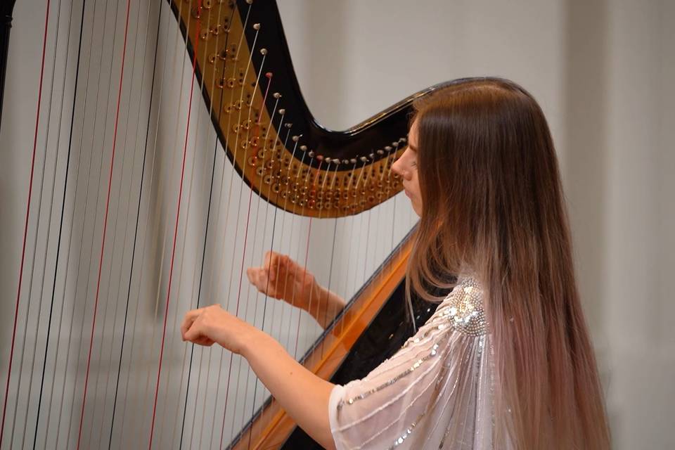 Harp, solo harp, harpist