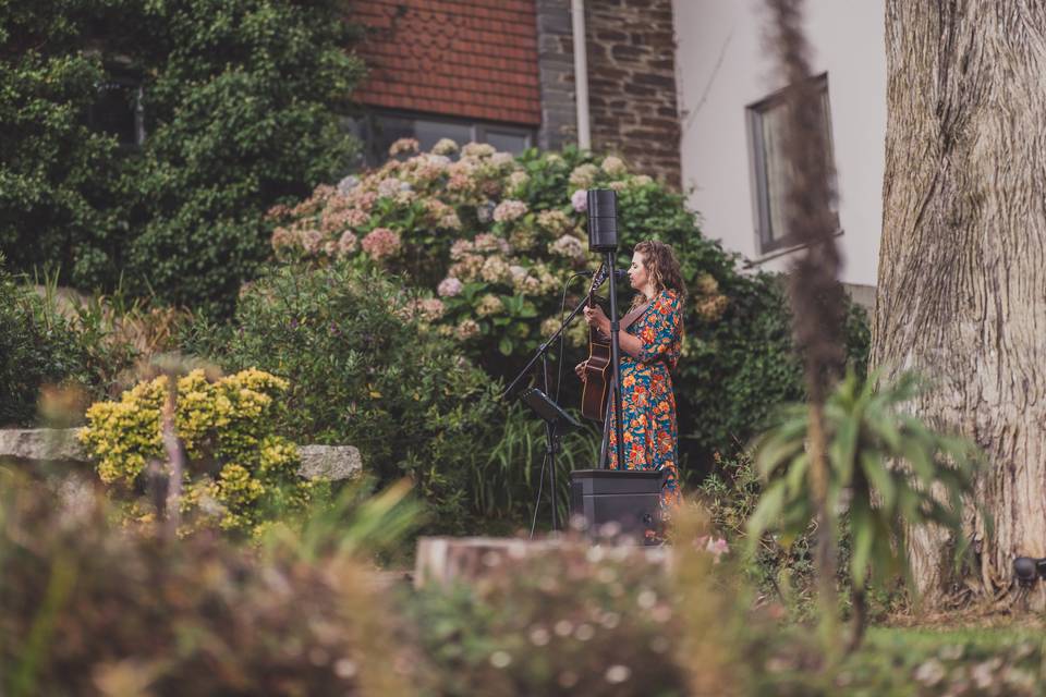 Acoustic Afternoon Stone Roots