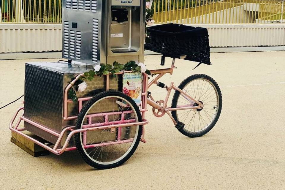 Cute ice cream bike