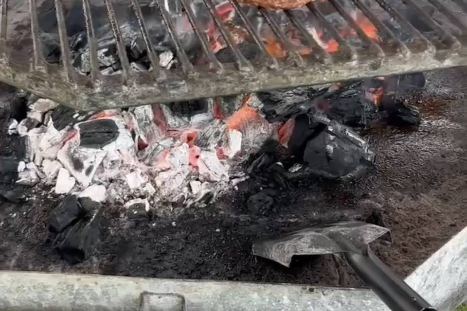 Bbq beef burgers