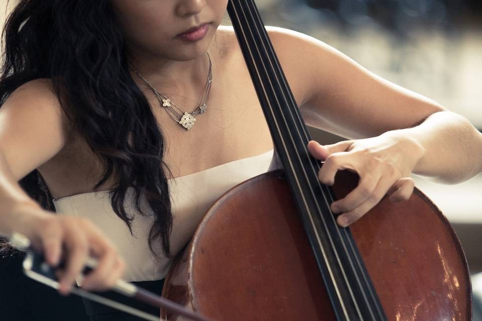 Catherine Lee-Wedding Cellist