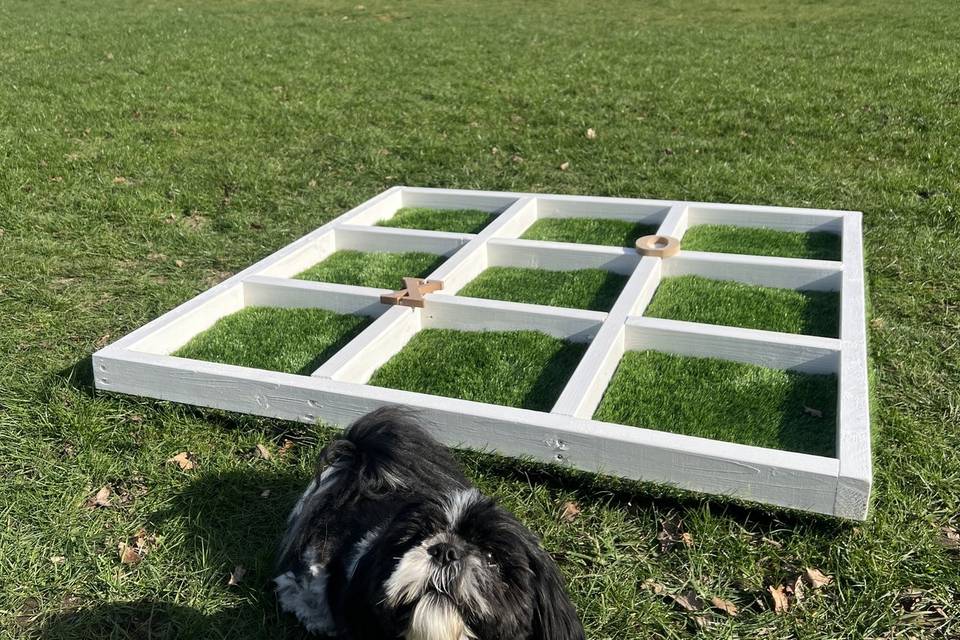 Noughts and crosses hole