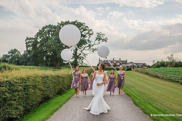 Bridesmaids Balloons