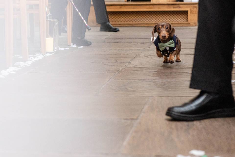 The ring bearer