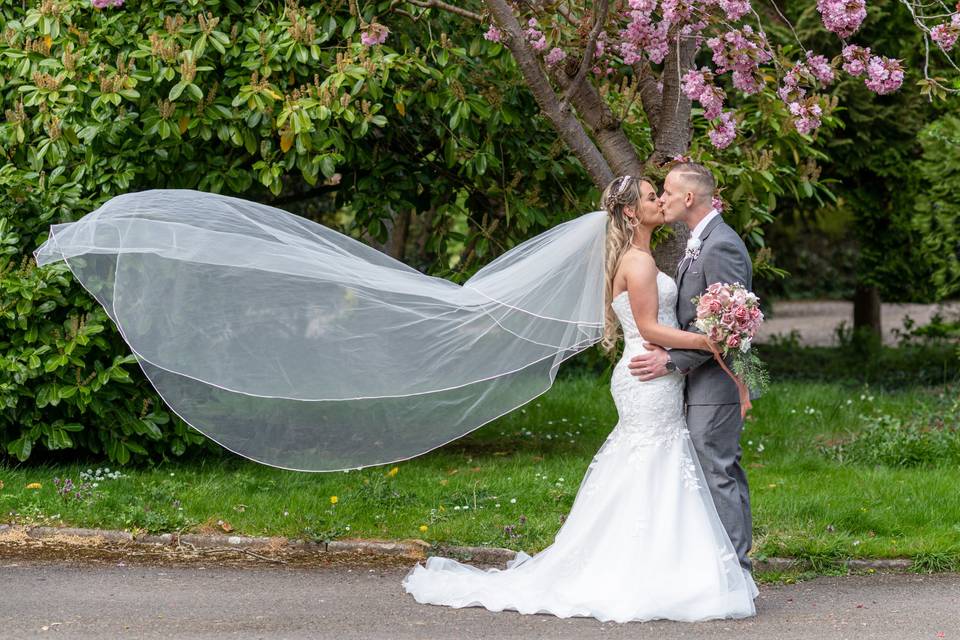 Kisses under the blossom tree