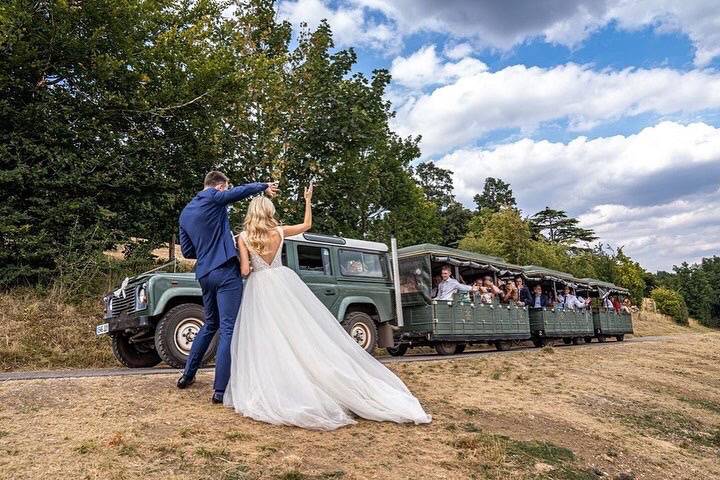 Vineyard Train