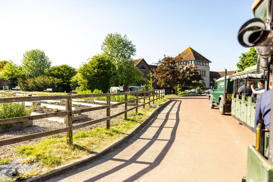 Vineyard Train