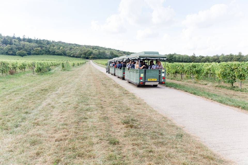 Denbies Wine Estate