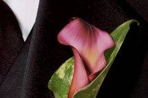 Deep Pink Calla Lily and Pearl Bridal