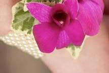 Pure white orchid wrist corsage