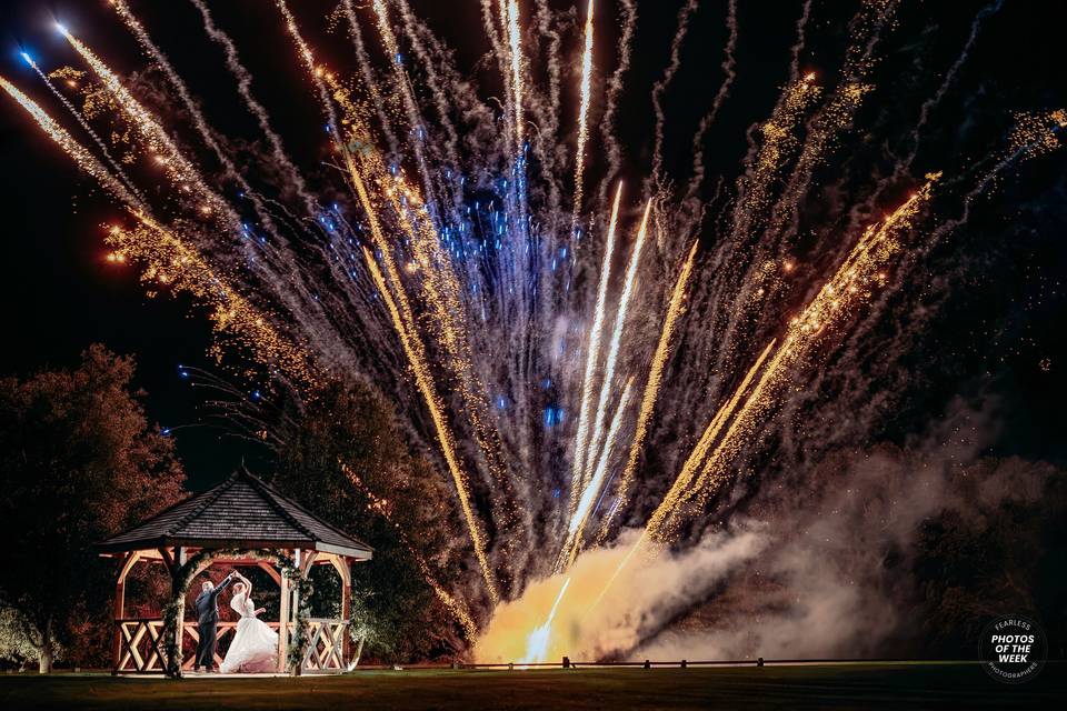 Dana Lewis Photography