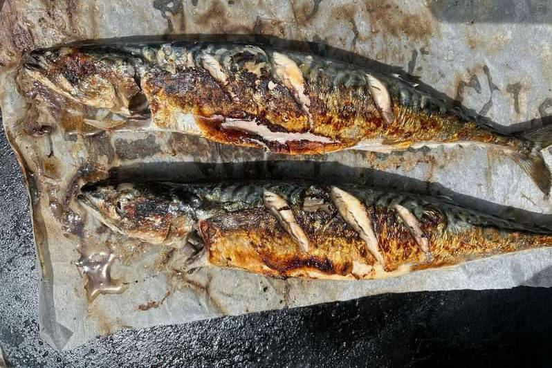 BBQ Mackerel