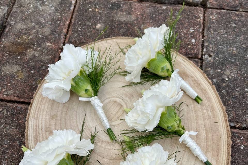 Carnation buttonholes
