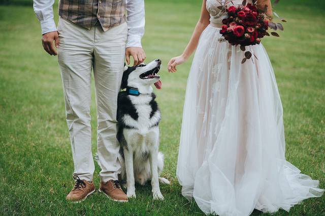 CCC Wedding Dog Chaperone