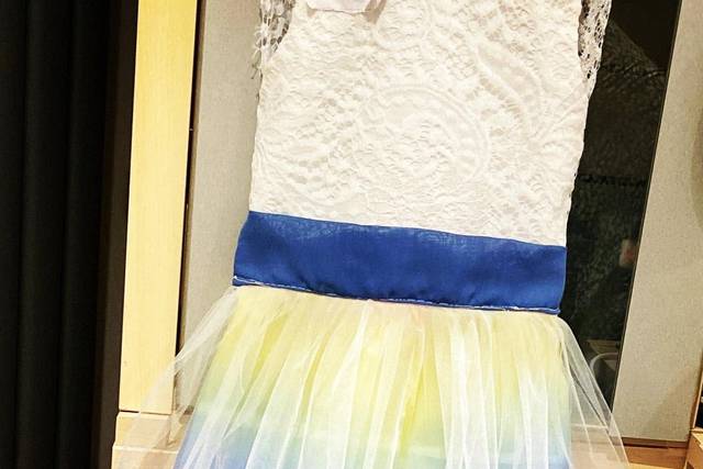 Rainbow Flower girl dresses