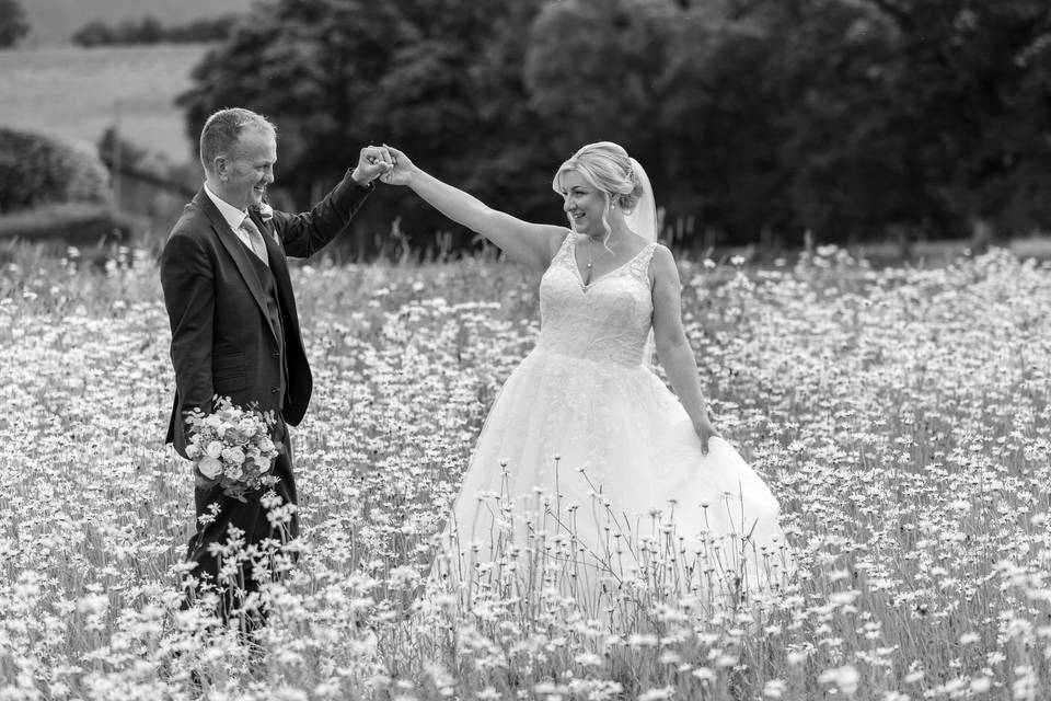 Wilflower Meadow