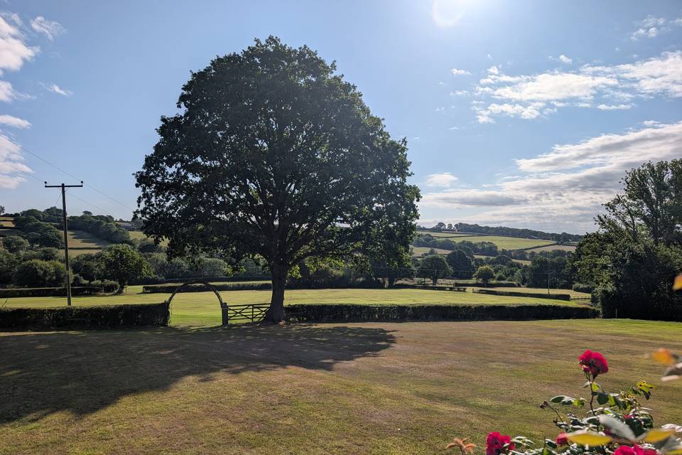 The Lawns
