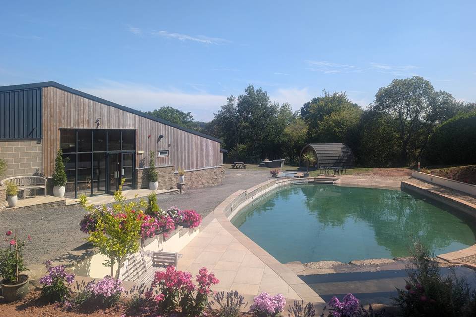 The Willow Pond