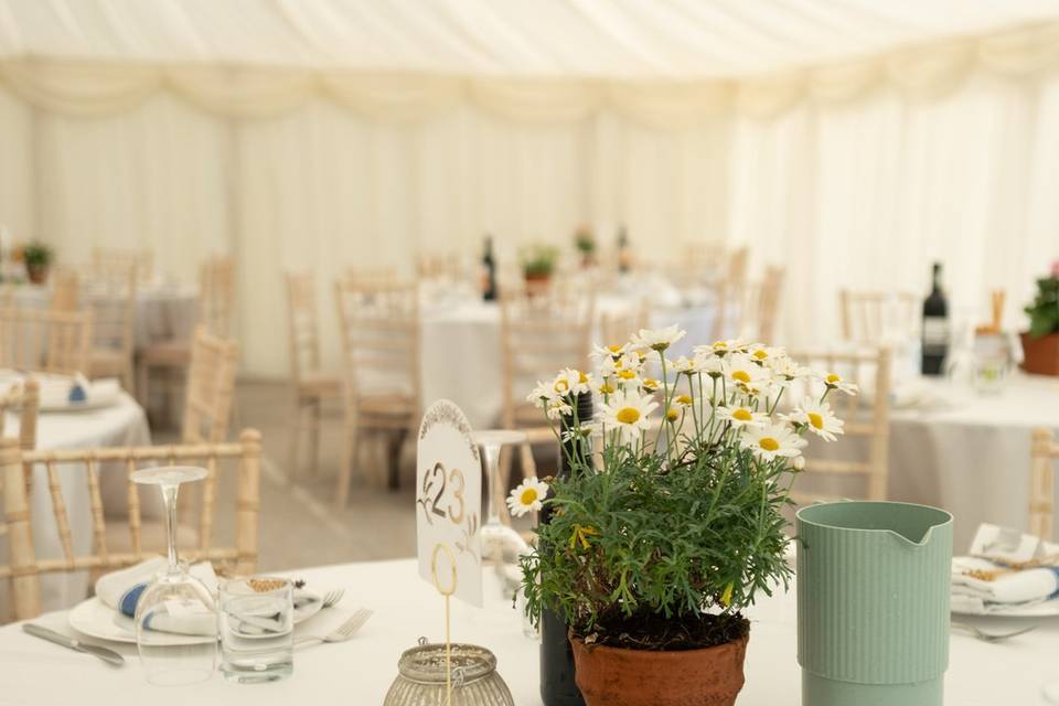 Inside the marquee
