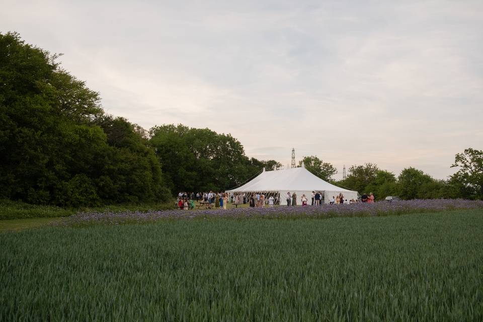 Arnie wood and wedding lawn