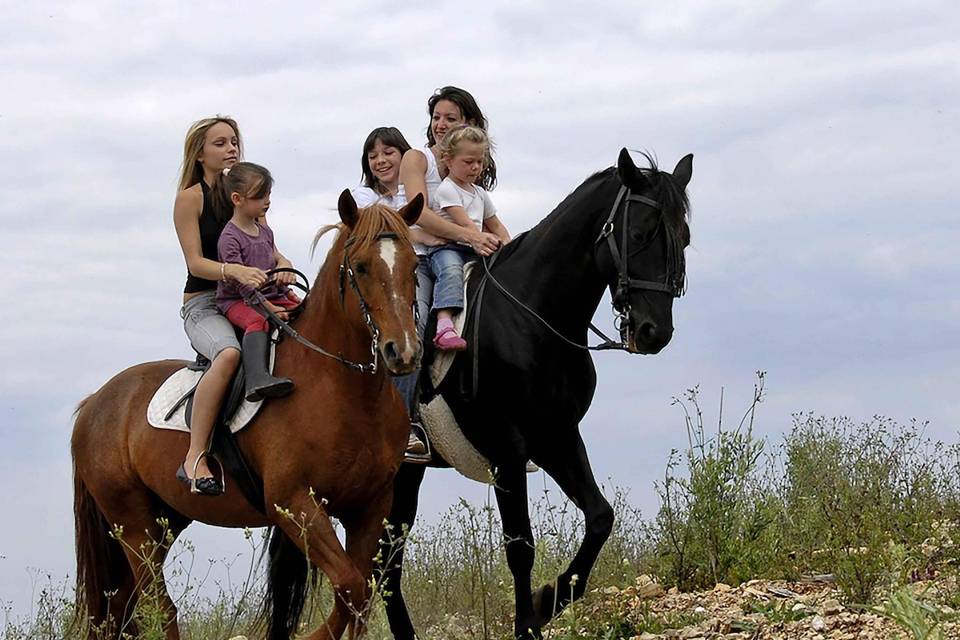 Horse Riding