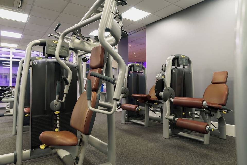 Gyms