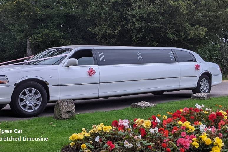 White stretched limousine