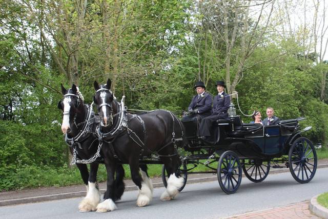 Warwick Shire Horse Carriages