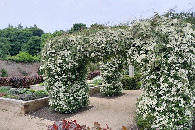 Kirkleatham Walled Garden