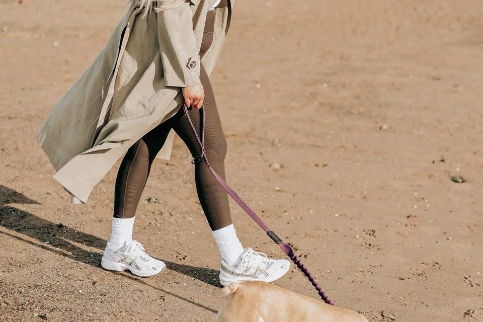 Pet session