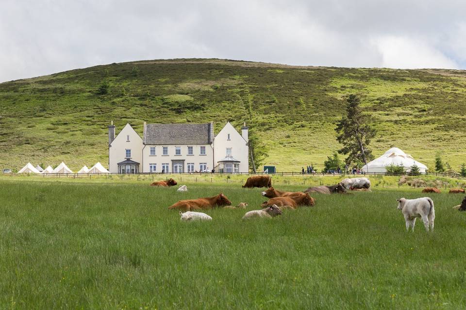 Alexander House Scotland