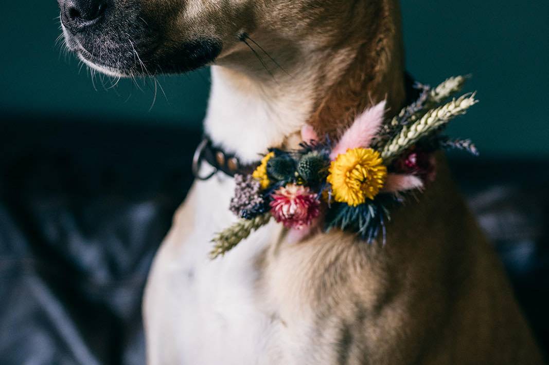 Jenessa Hawks Florist in Bristol Wedding Florists hitched.co.uk