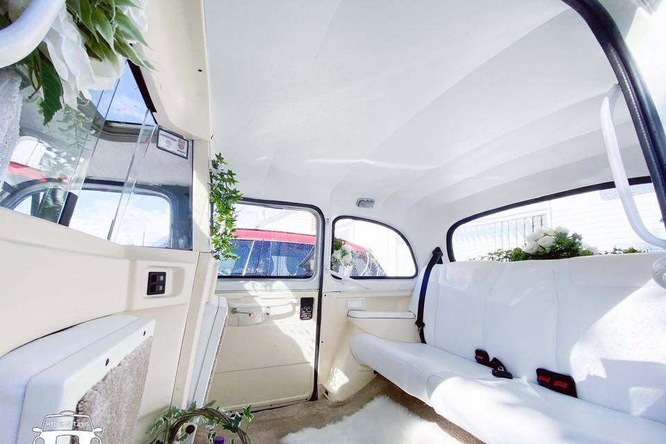 Our classic taxis interior