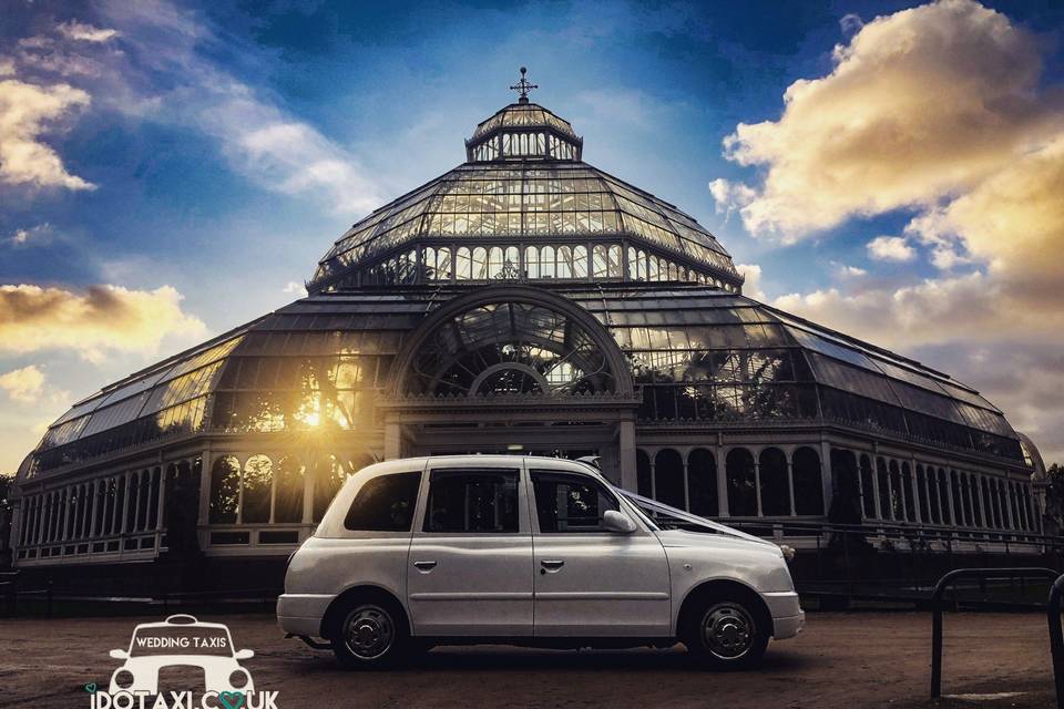 Classy wedding transport